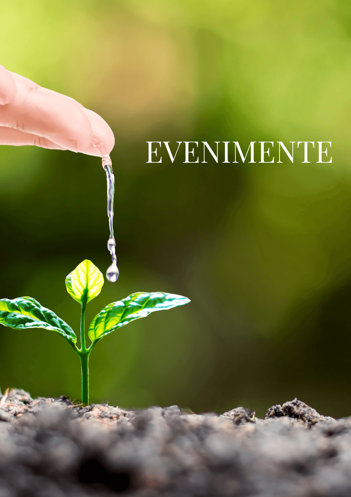 evenimentele noastre